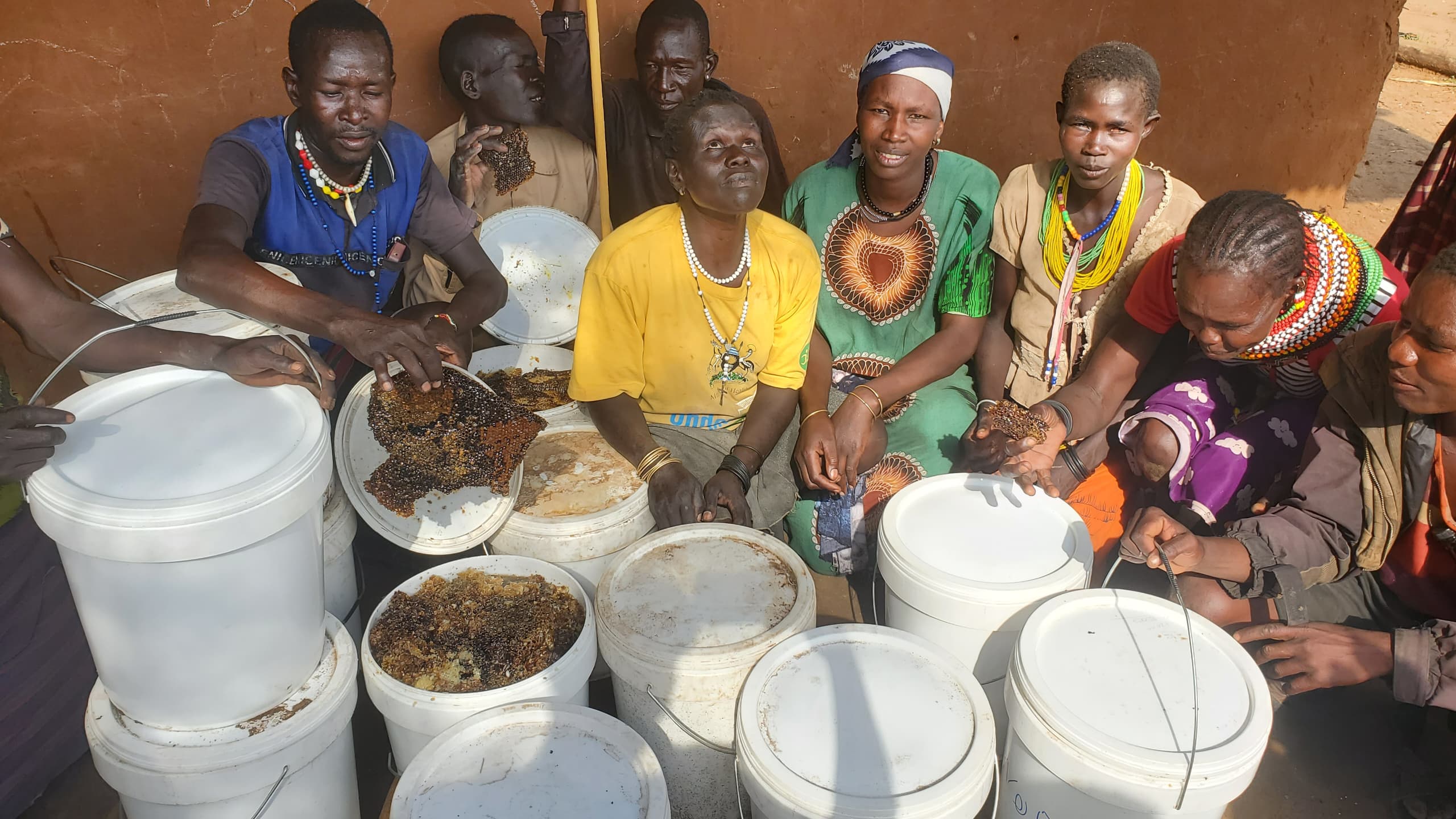 Bee farming in Karamoja